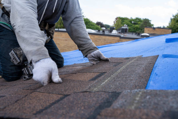 Best Roof Repair Services  in Medicine Lodge, KS