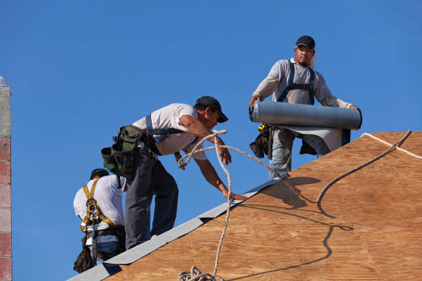 Best Roof Gutter Cleaning  in Medicine Lodge, KS