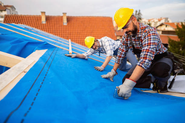 Best Roof Waterproofing Services  in Medicine Lodge, KS
